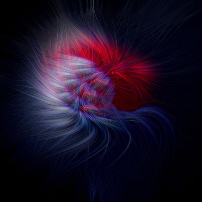 Blooming in the night