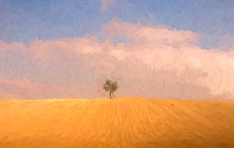 Solitude