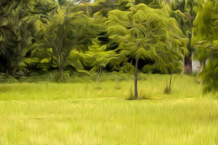 Du vent dans les arbres