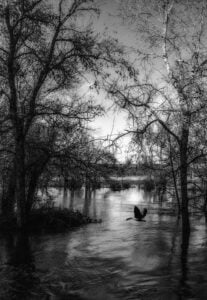 By the river
