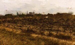 Lonely horse